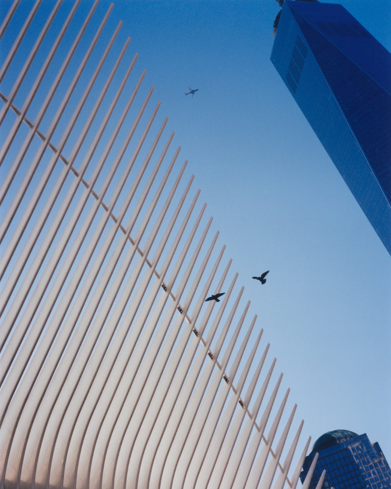<p>NEW YORK</p>