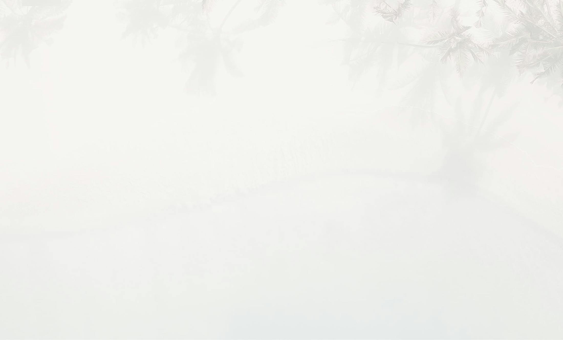 textured white background