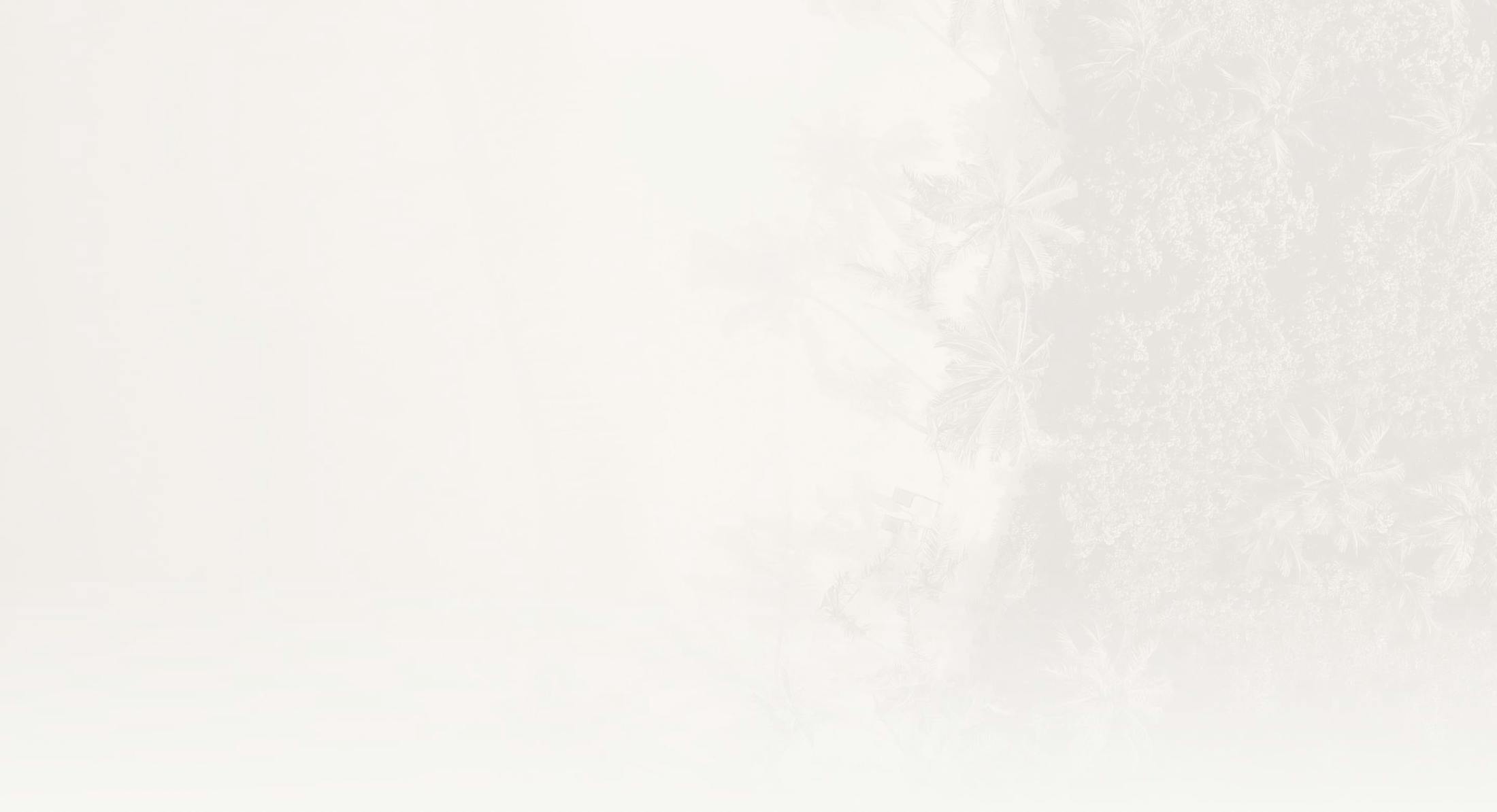 white textured background