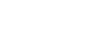 Fighting Blindness Foundation logo