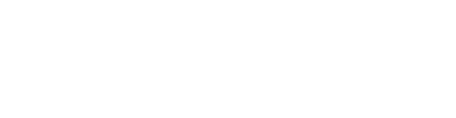 American Academy of Optometry logo