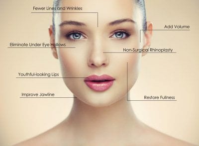 Anatomy of Woman's face