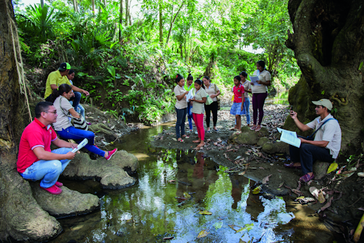 Service project, Colombia