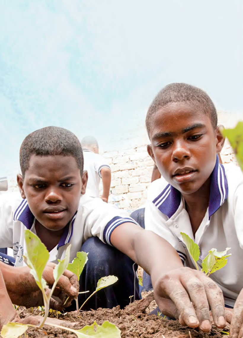 Students planting seedlings, Colombia