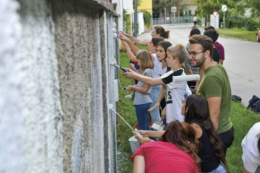 Service project, Austria