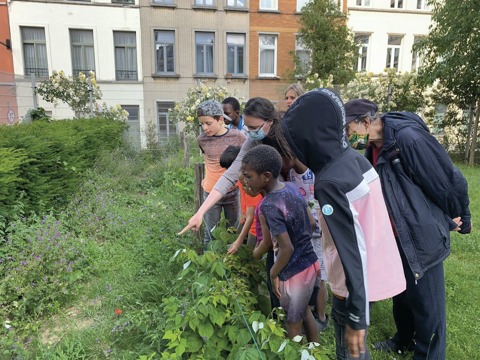 Community garden, Belgium