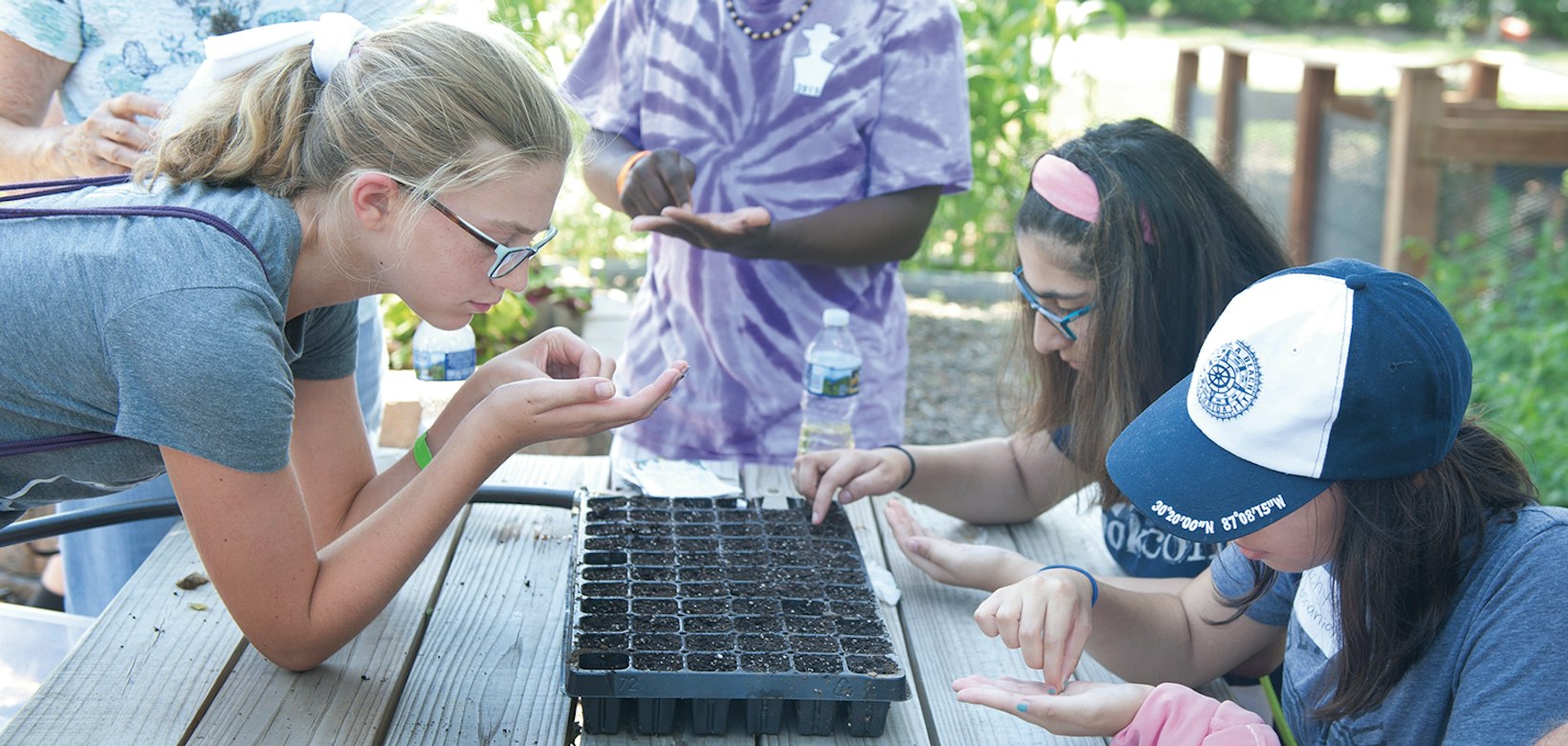 Community garden, United States