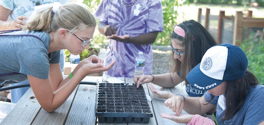 Community garden, United States
