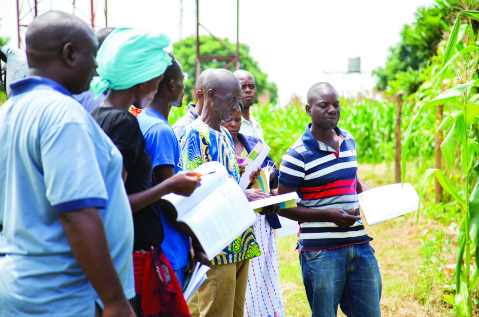 Agriculture project, Zambia