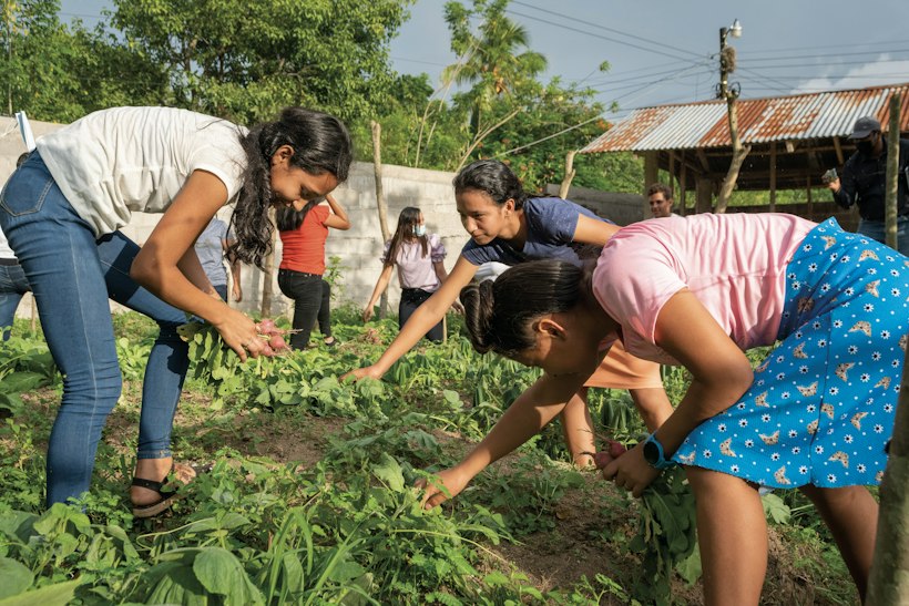 Agriculture initiative, Honduras