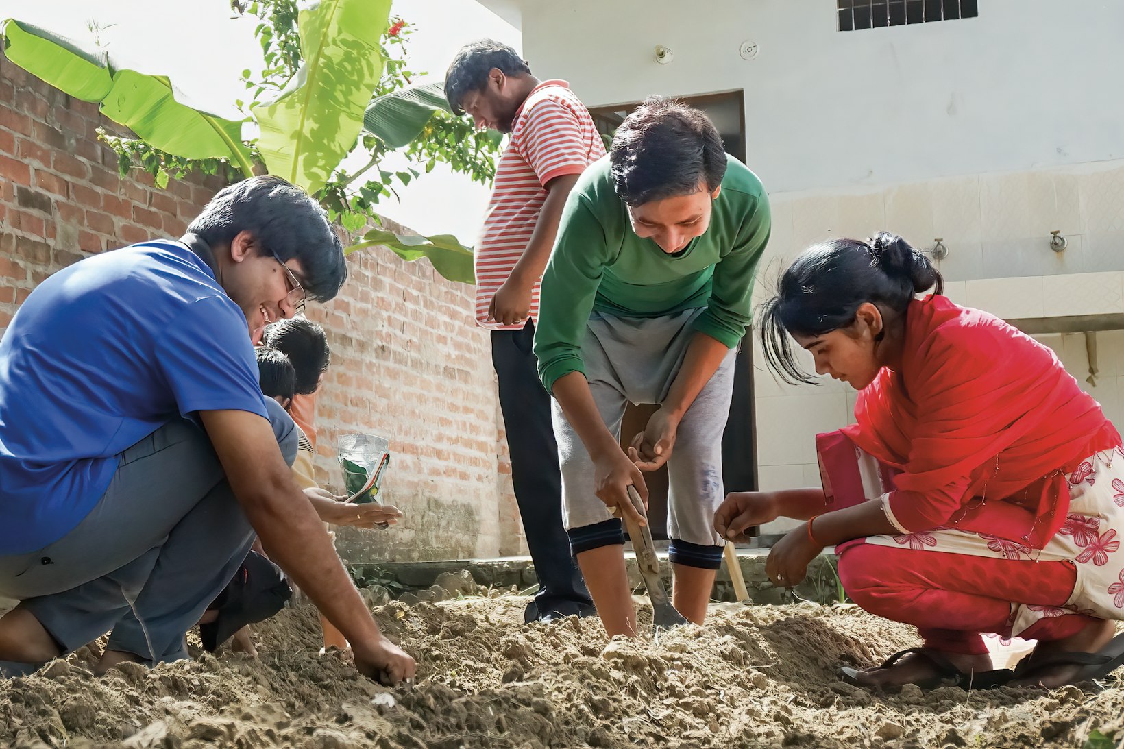 Agriculture project, India