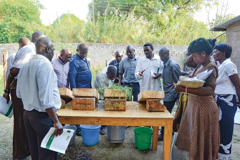 Group conducting agriculture experiments, Uganda