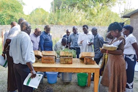 Group conducting agriculture experiments, Uganda