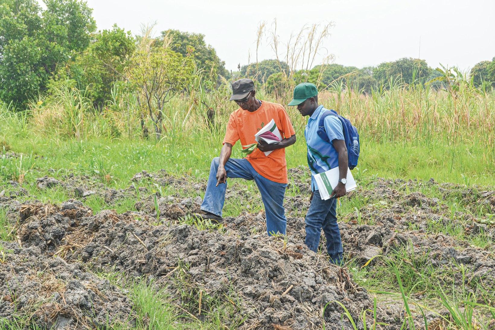 Agriculture project, Africa