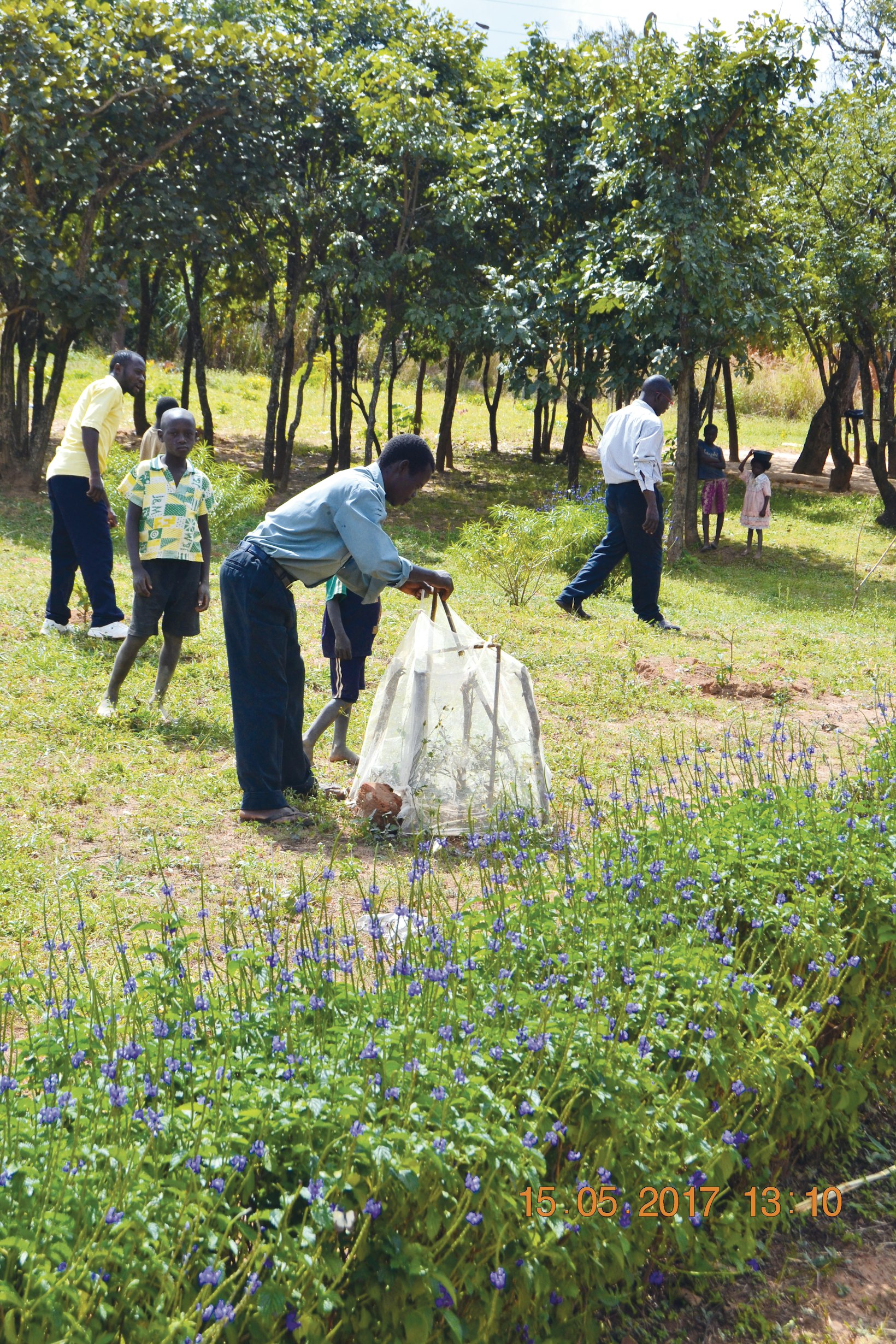 Agriculture project, Africa
