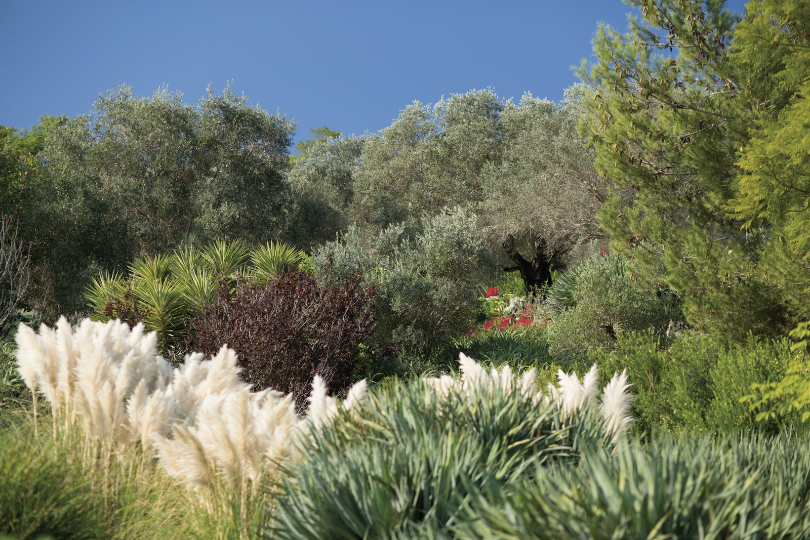 Garden in Haifa