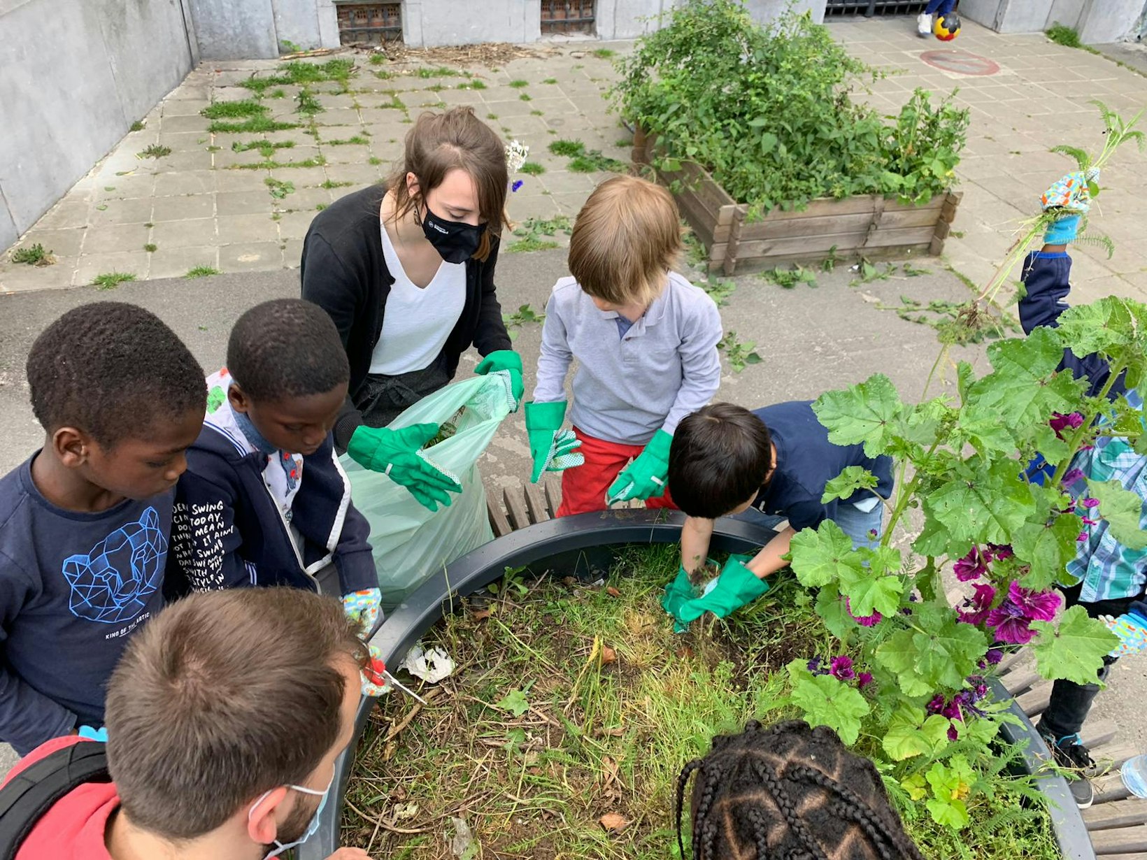 Planting project, Belgium