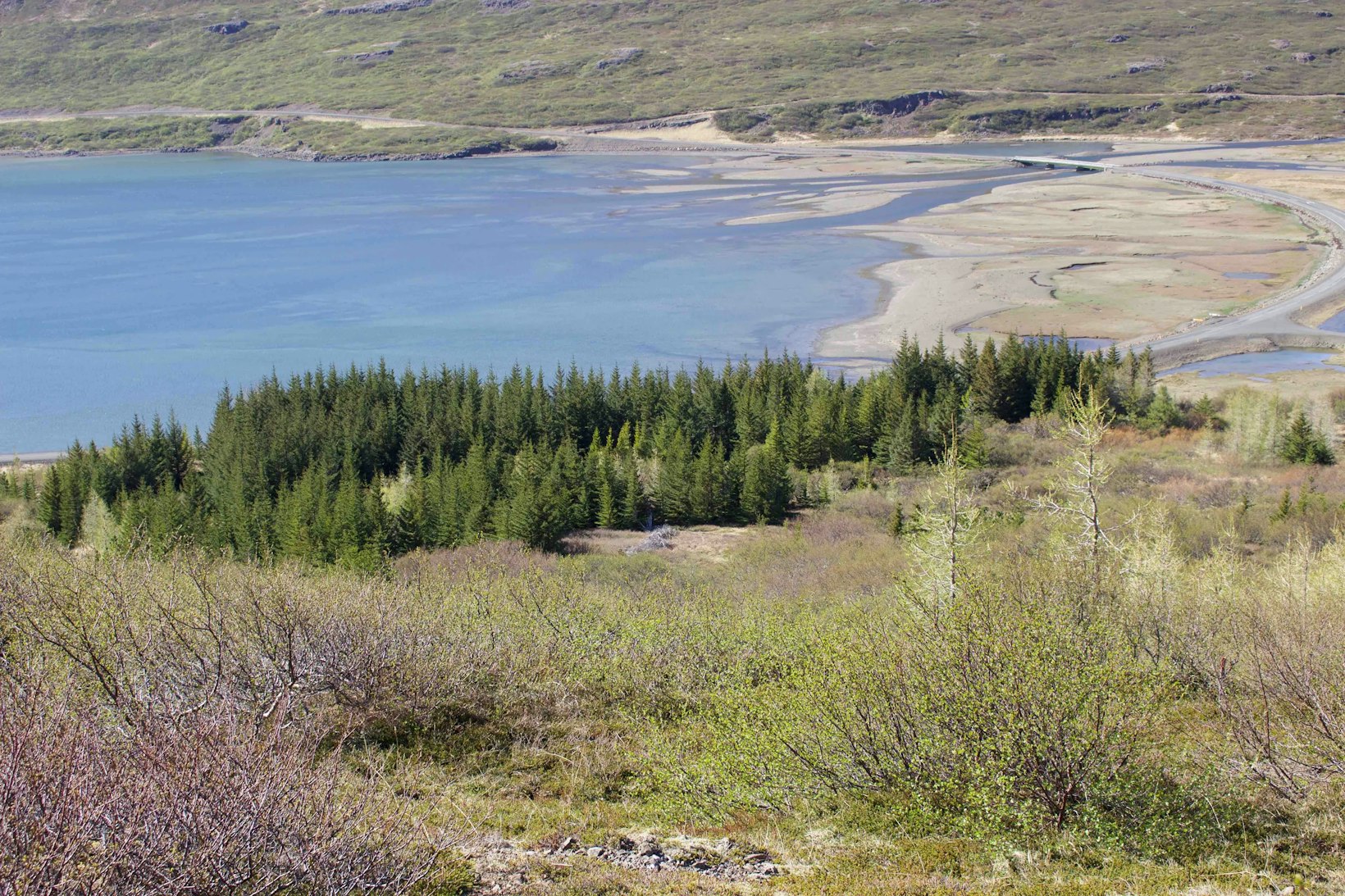Skogar Reforestation project, Iceland