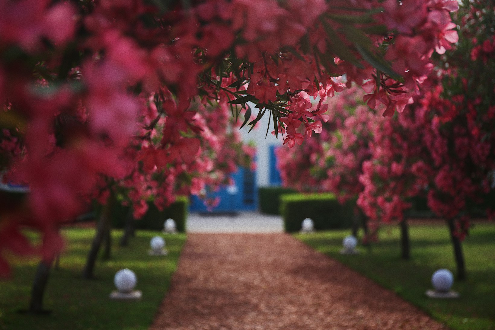 Gardens of Bahji