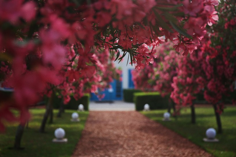 Gardens of Bahji
