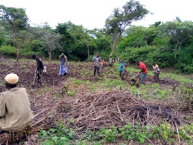 Agriculture project, Cameroon