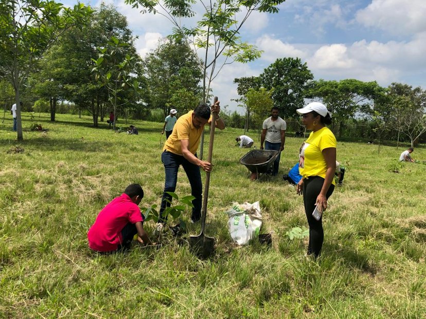 Native forest project, Colombia