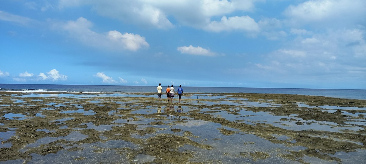 Coral reef restoration project, Vanuatu
