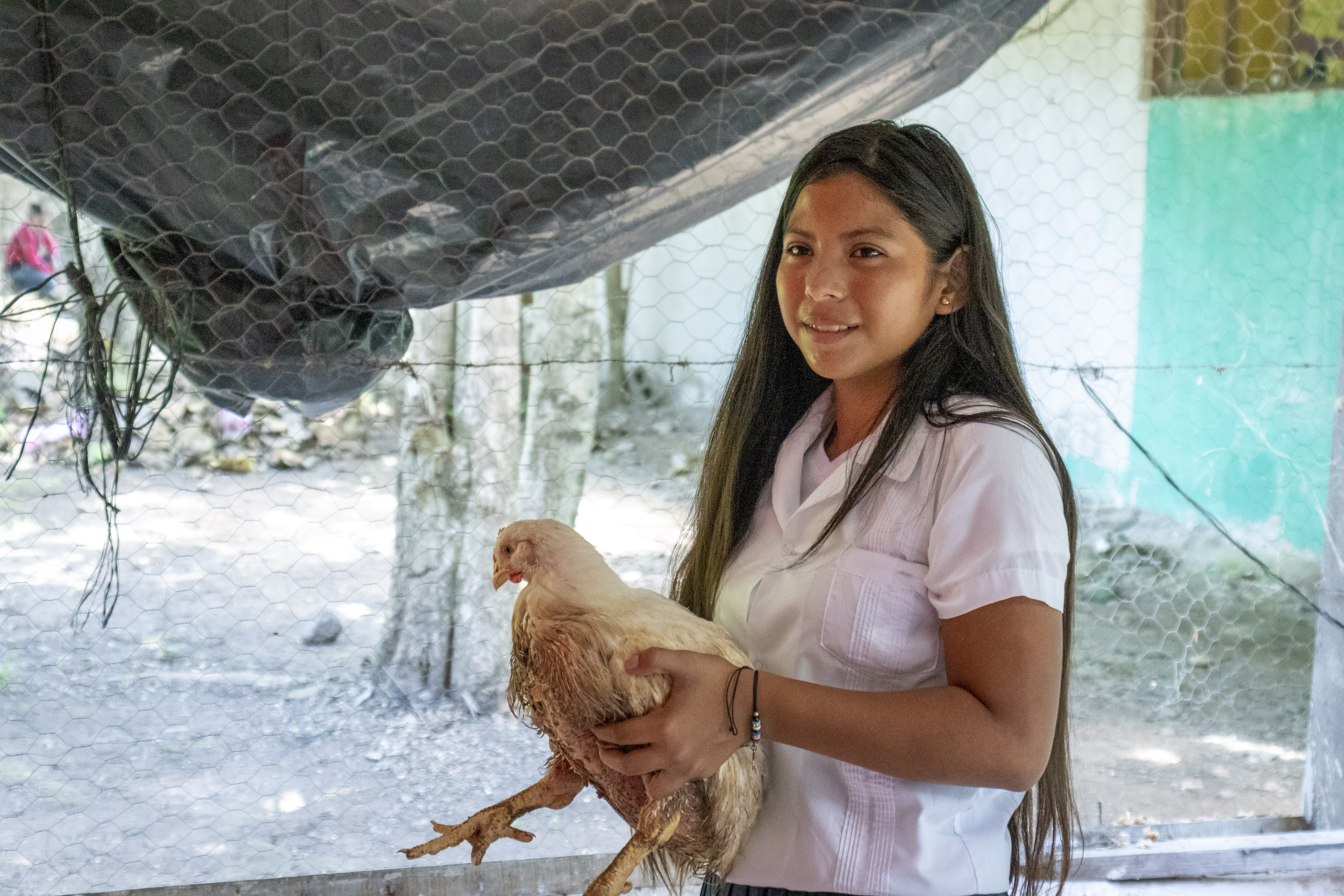 Animal husbandry, Honduras