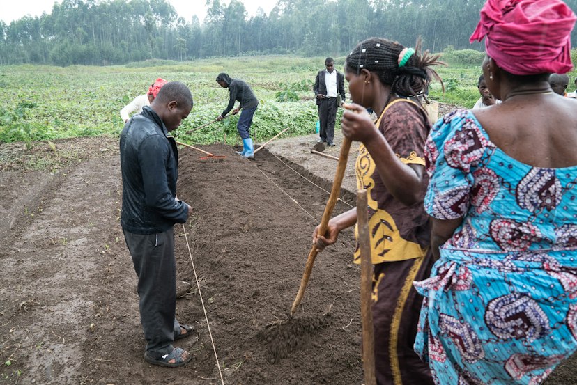 Agriculture project, Democratic Republic of the Congo
