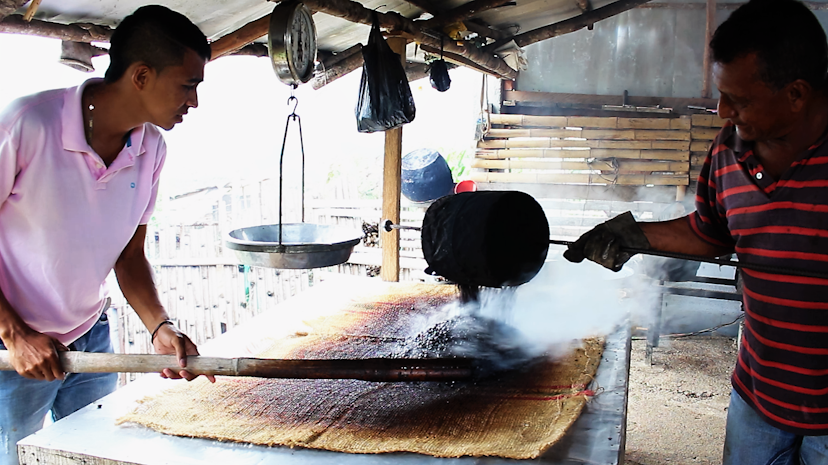 Coffee project, Colombia