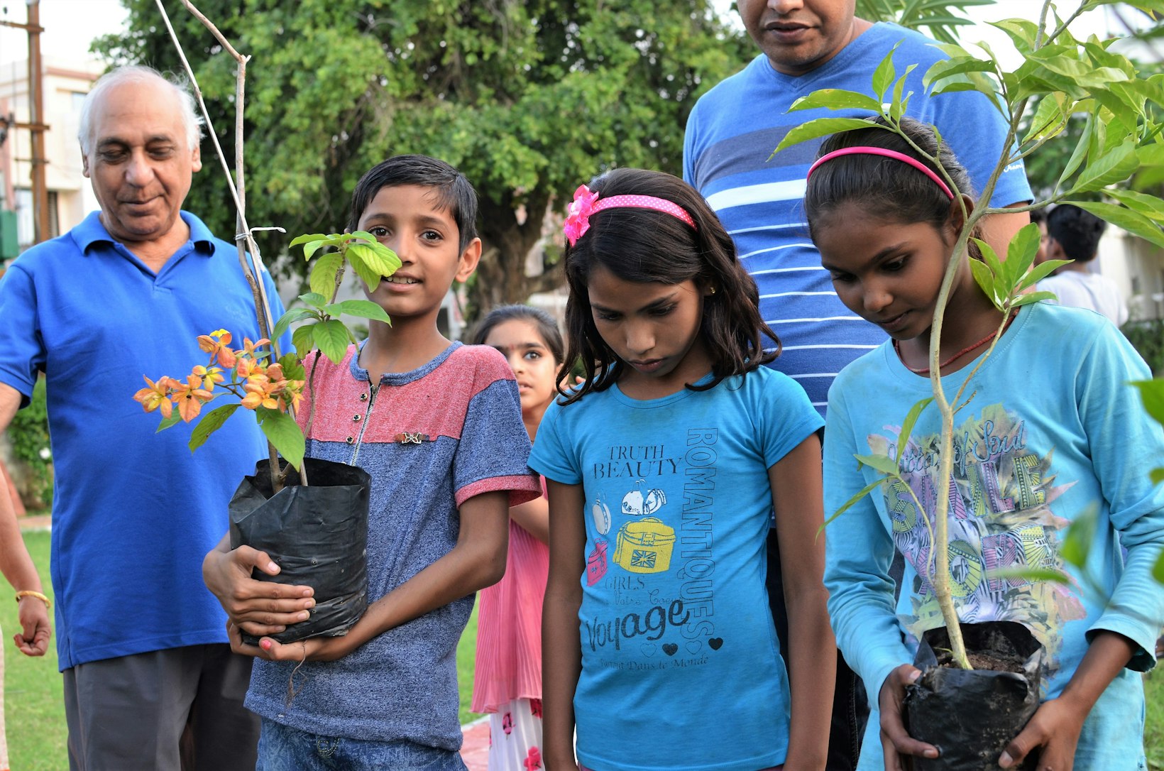 Tree planting, India