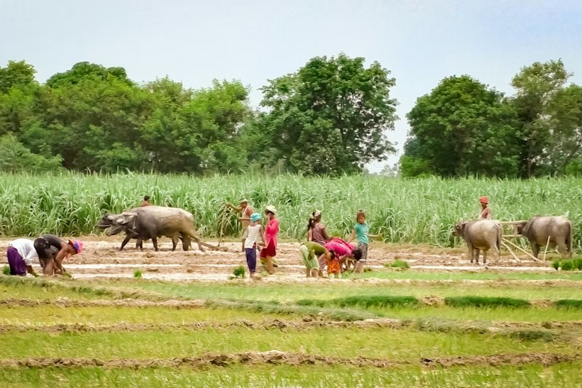 Nepal Agriculture project, Nepal