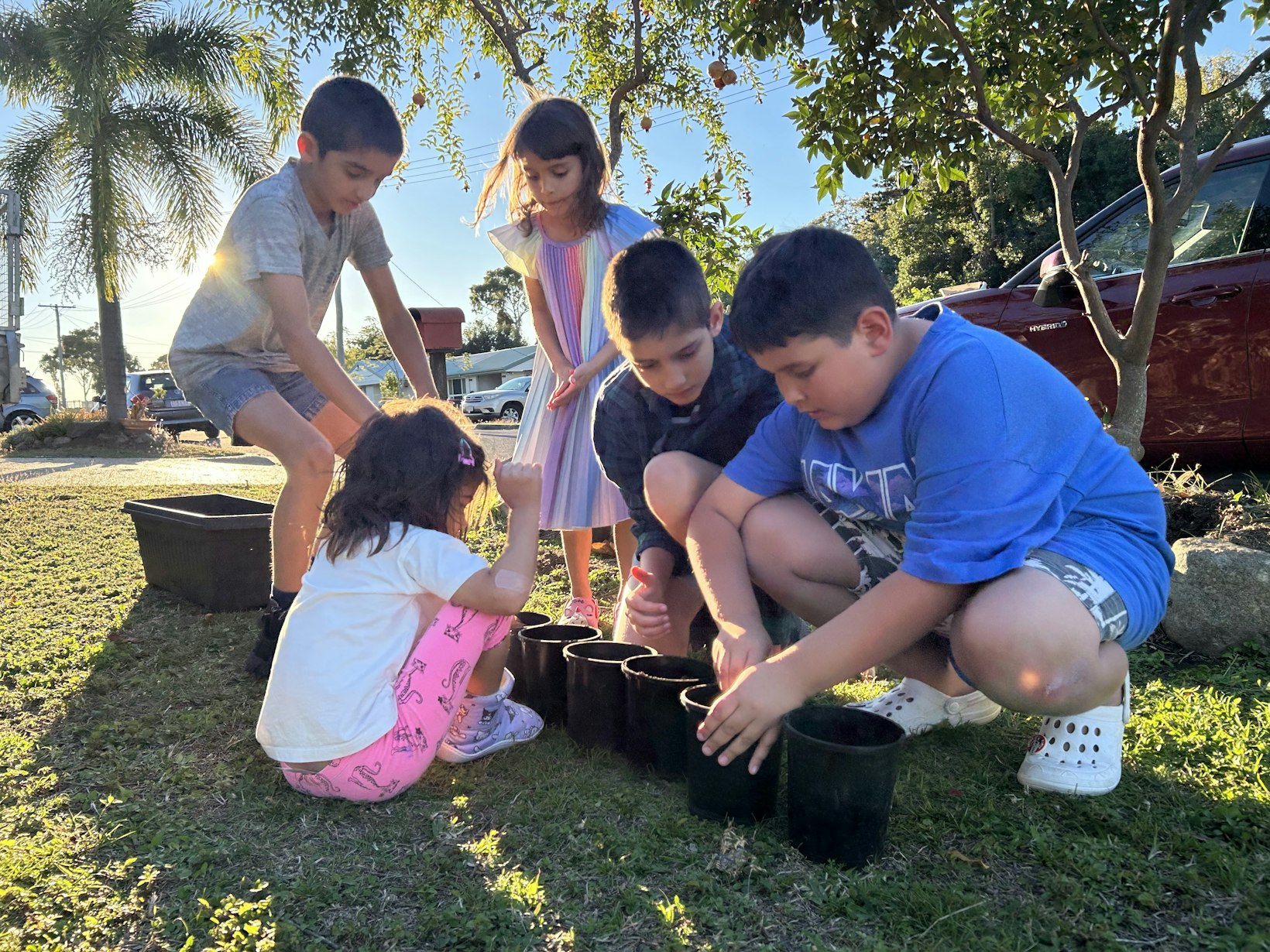 Children planting seeds, Australia