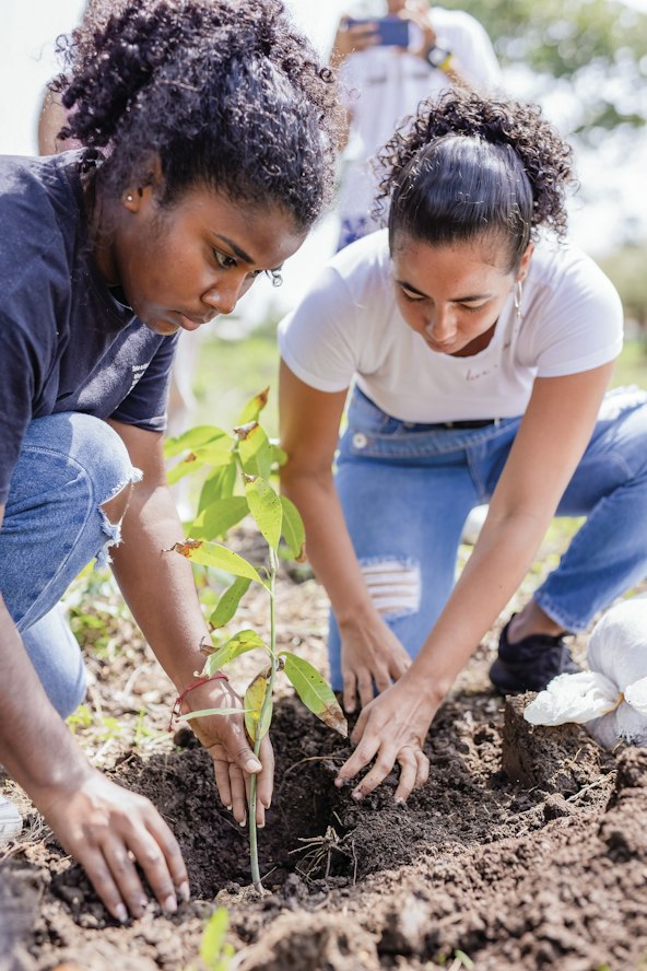 Planting a seedling, Colombia