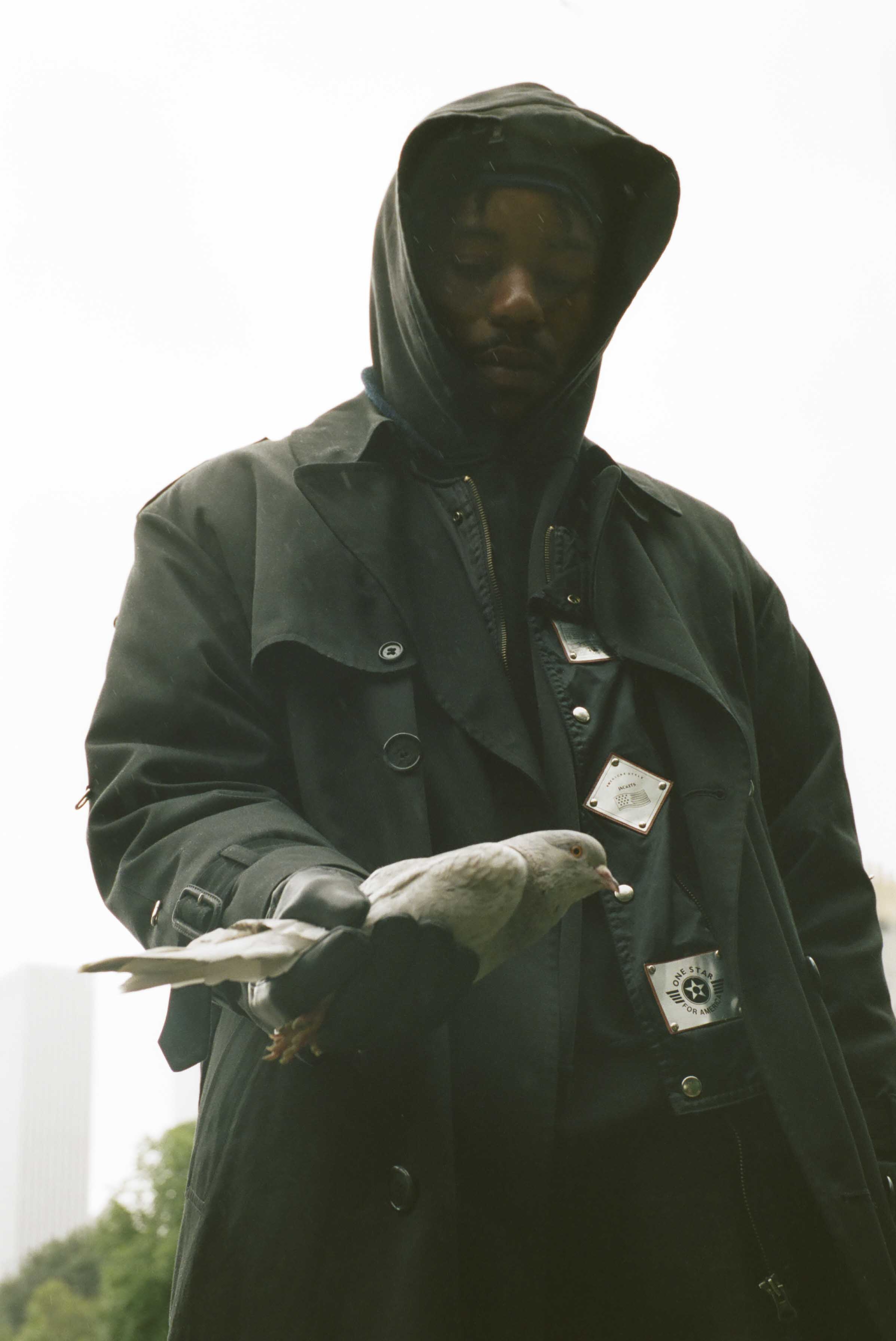Montell Fish
