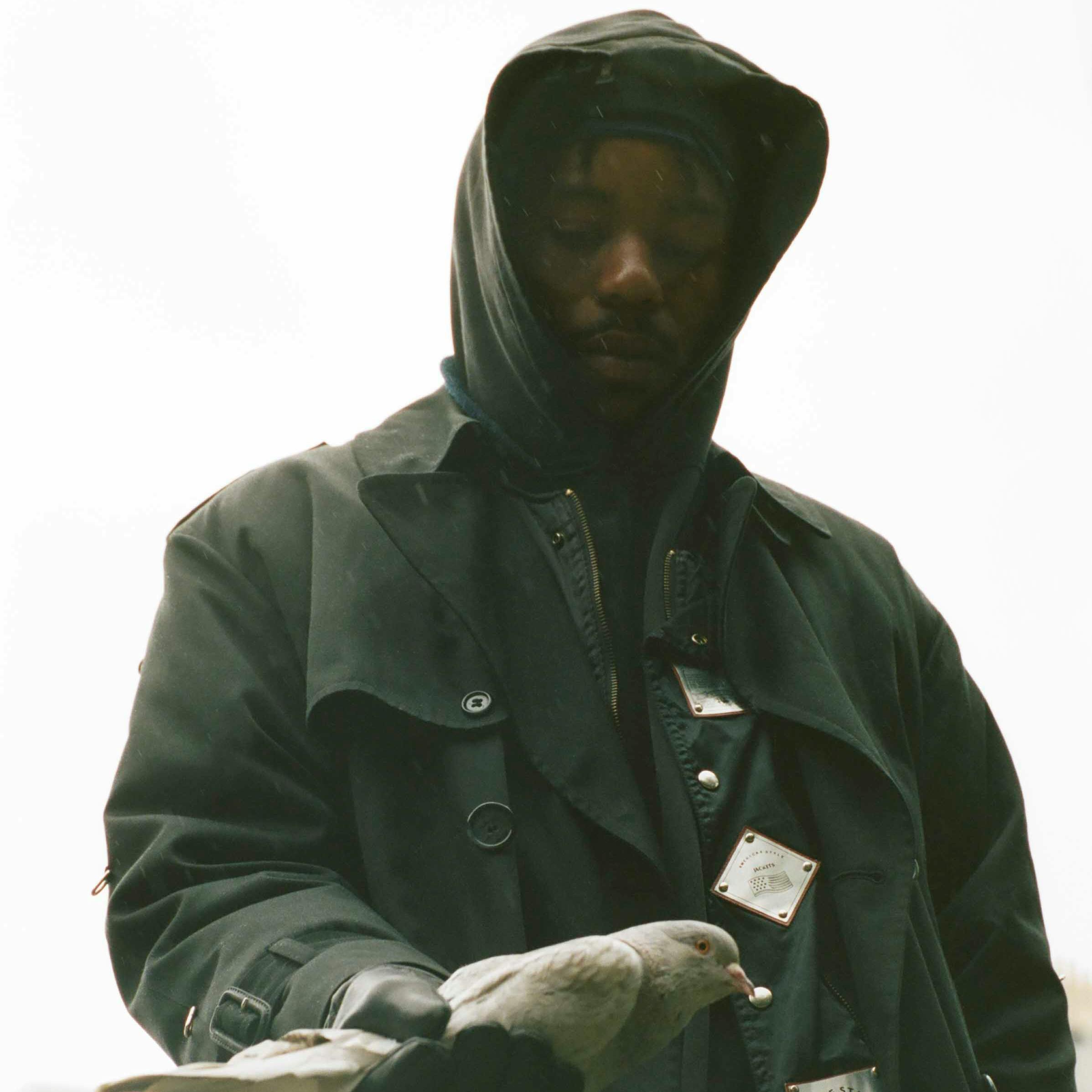 Montell Fish