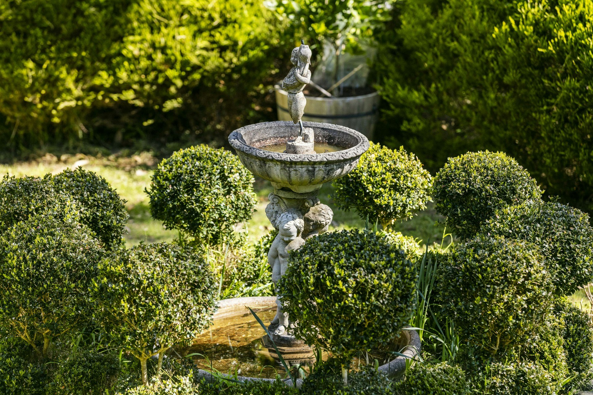 birdbath