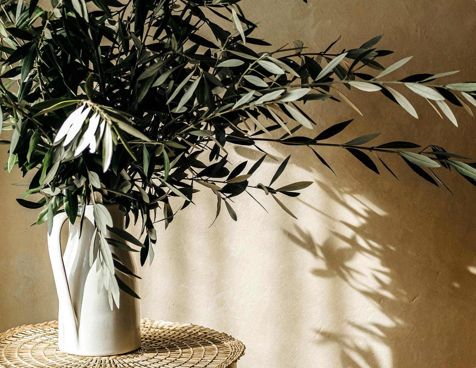 olive branches in a vase