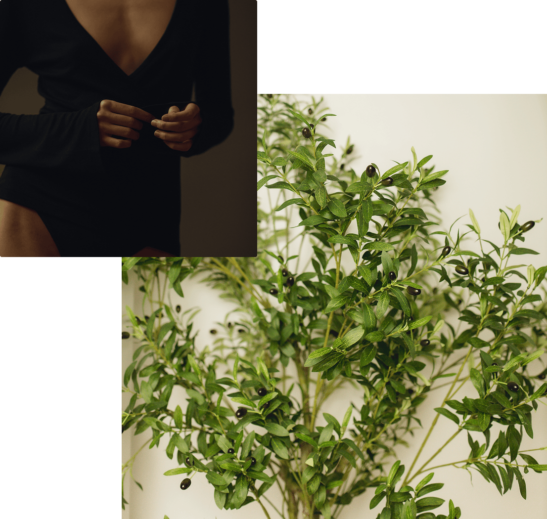 plant on a wall