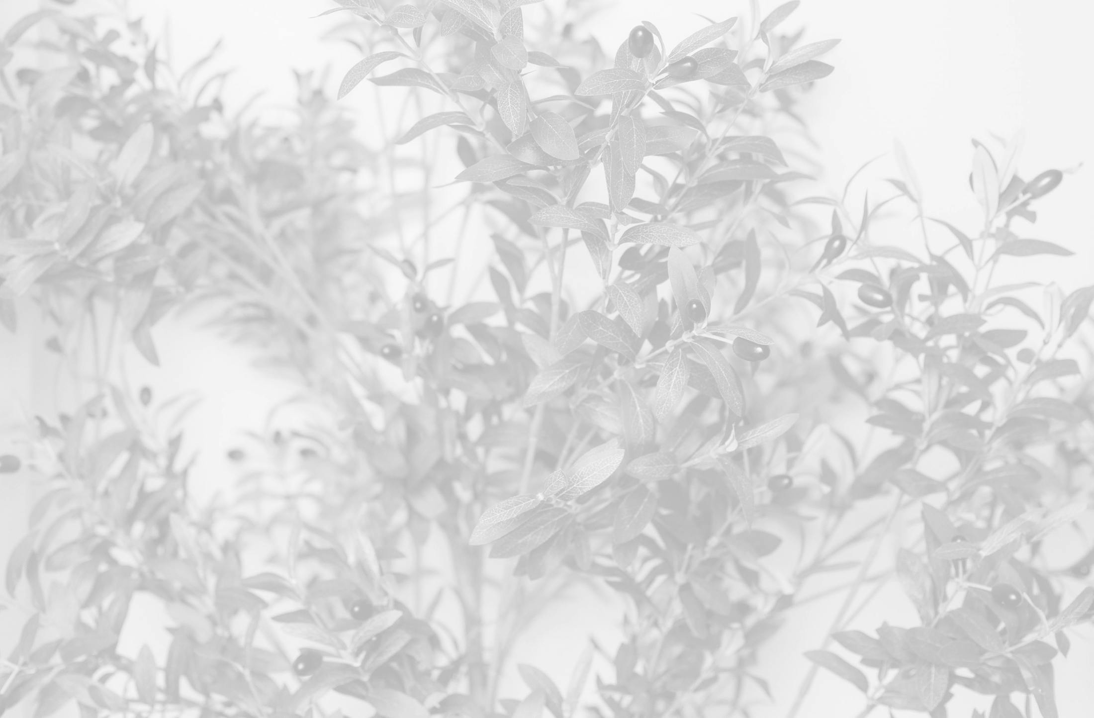 Background media