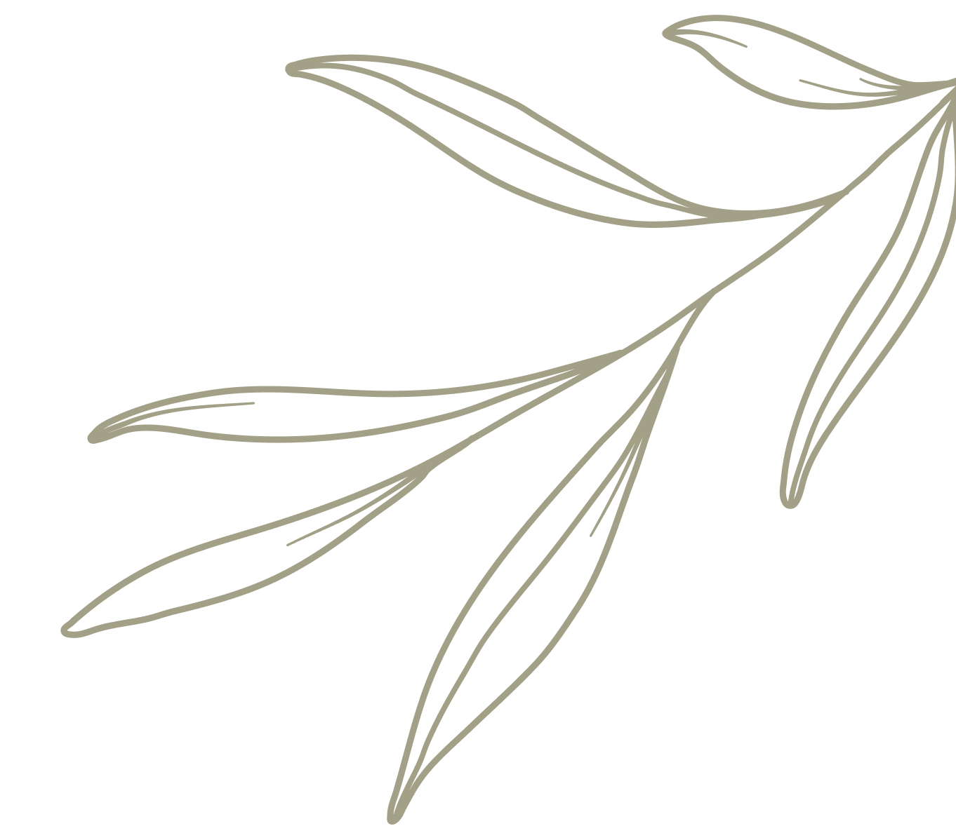 Accent media