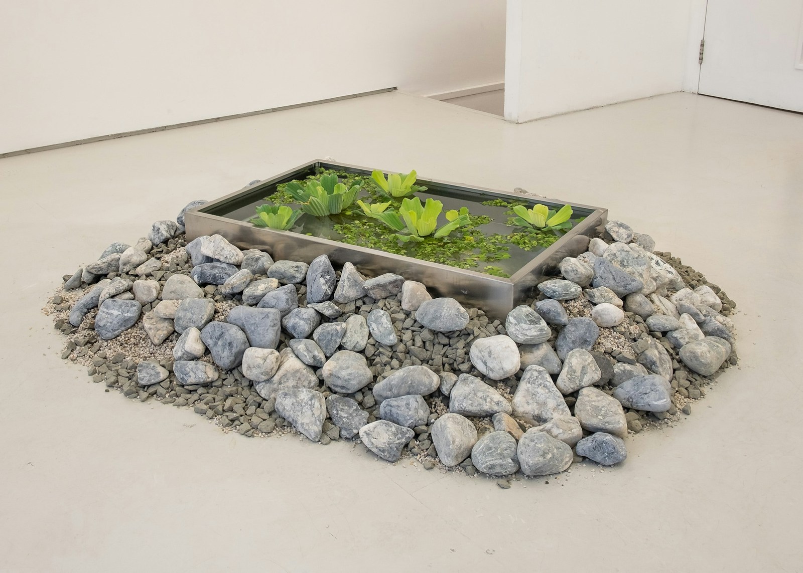 Momentary Detachment Installation