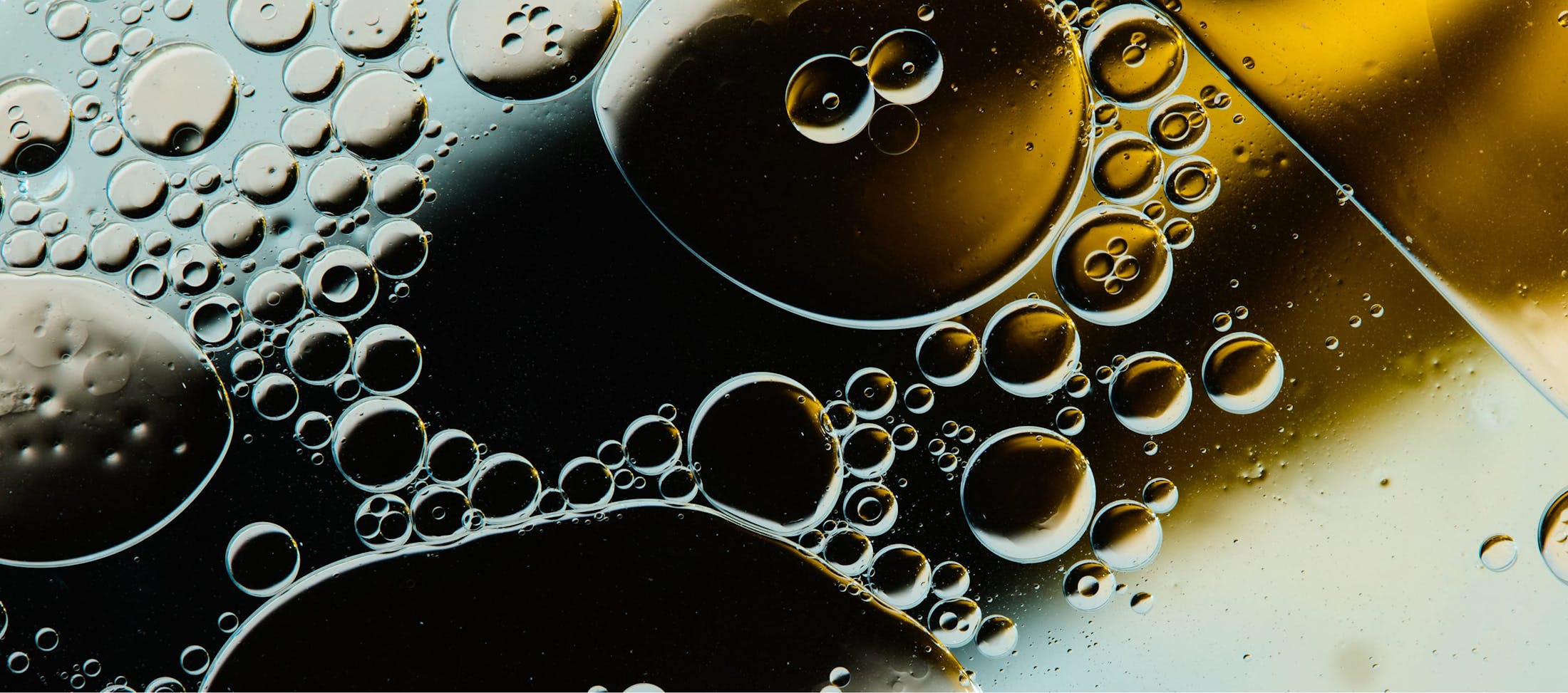 RegenAxis Joint banner