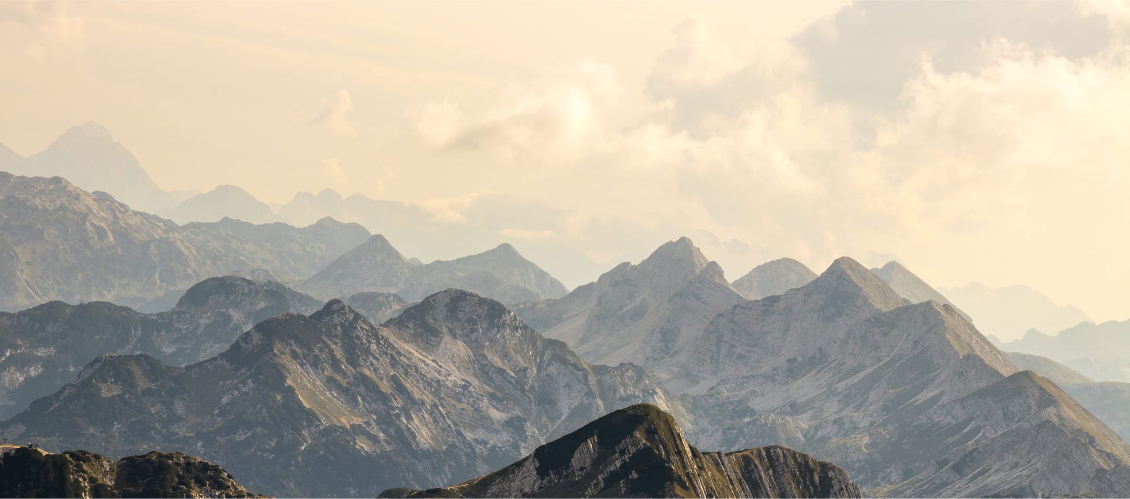 RegenAxis Spine banner