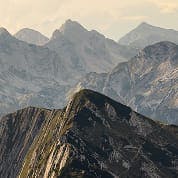 RegenAxis Spine icon