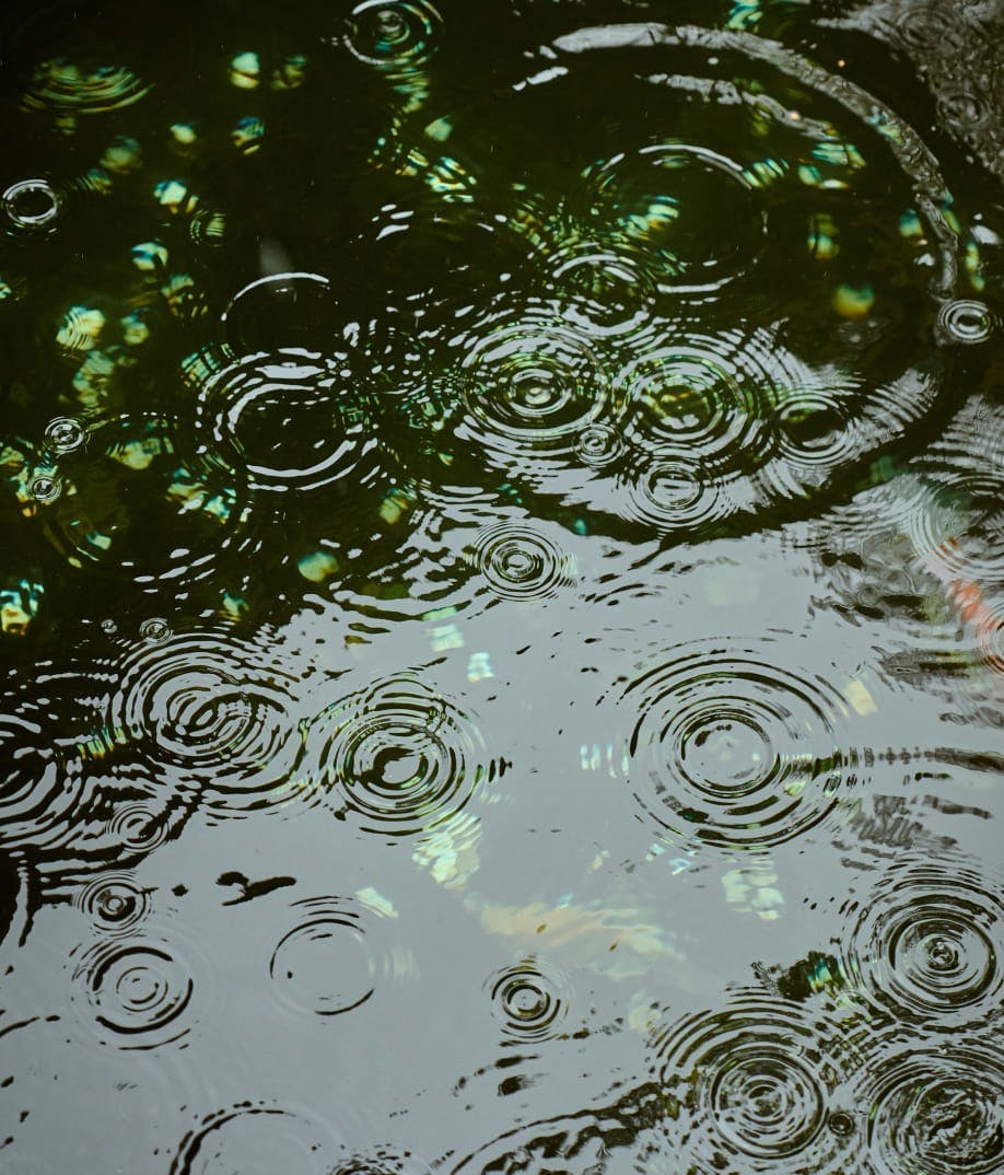 rain drops on a puddle