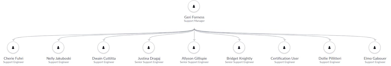ServiceNow user hierarchy chart showing a Support Manager with reporting Support Engineers and Senior Support Engineers.