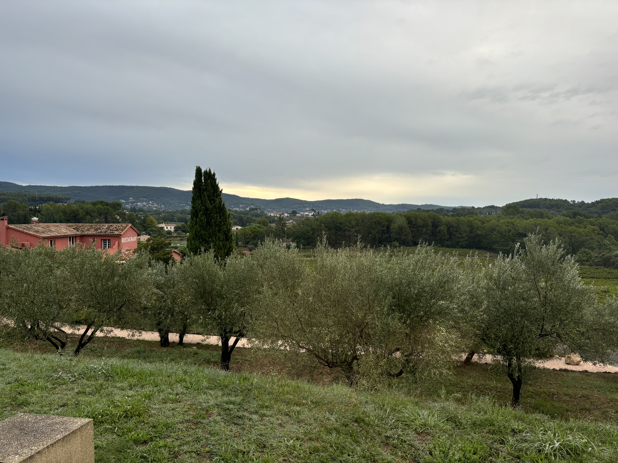 Landscape view of olive trees and a red restaurant building under a cloudy sky during a ServiceNow partner workcation.