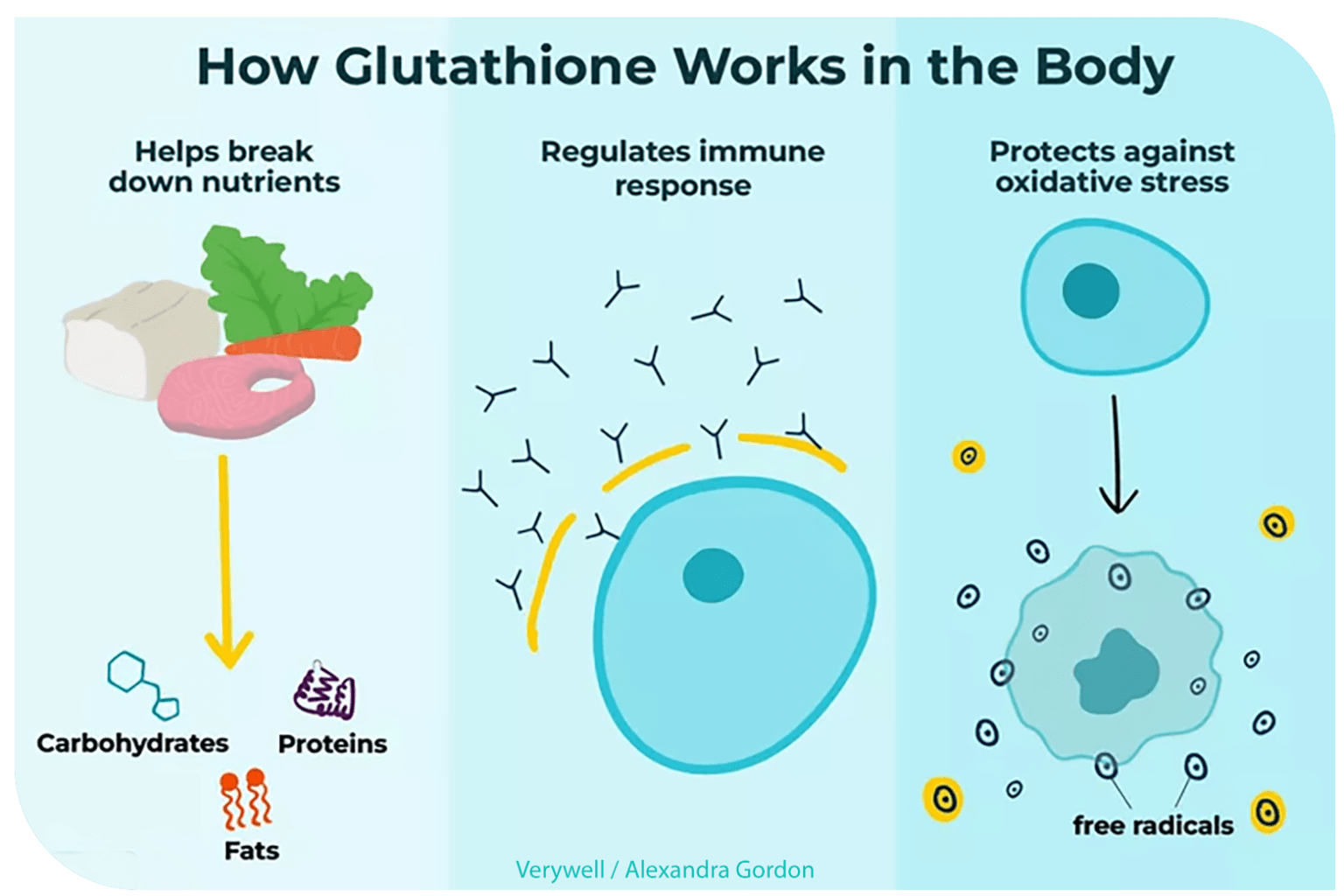 How Glutathione works in the body infographic