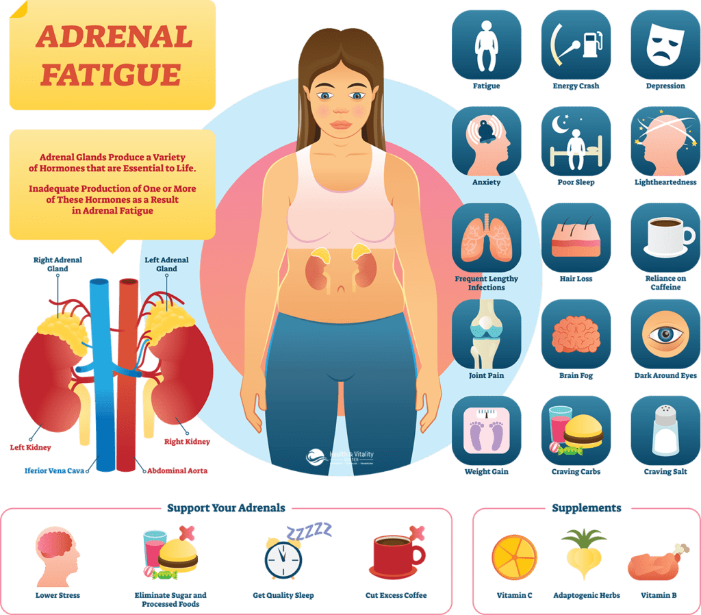 adrenal fatigue infographic